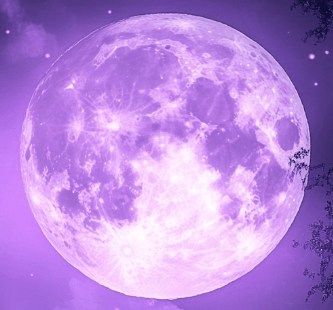 erb rodiny Smiřických